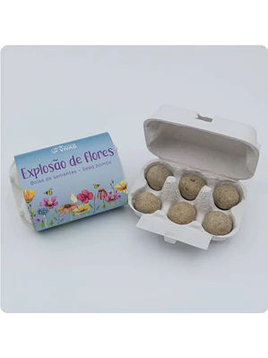 Bolas de Sementes - Explosão de Flores