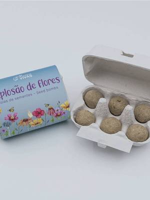Bolas de Sementes - Explosão de Flores