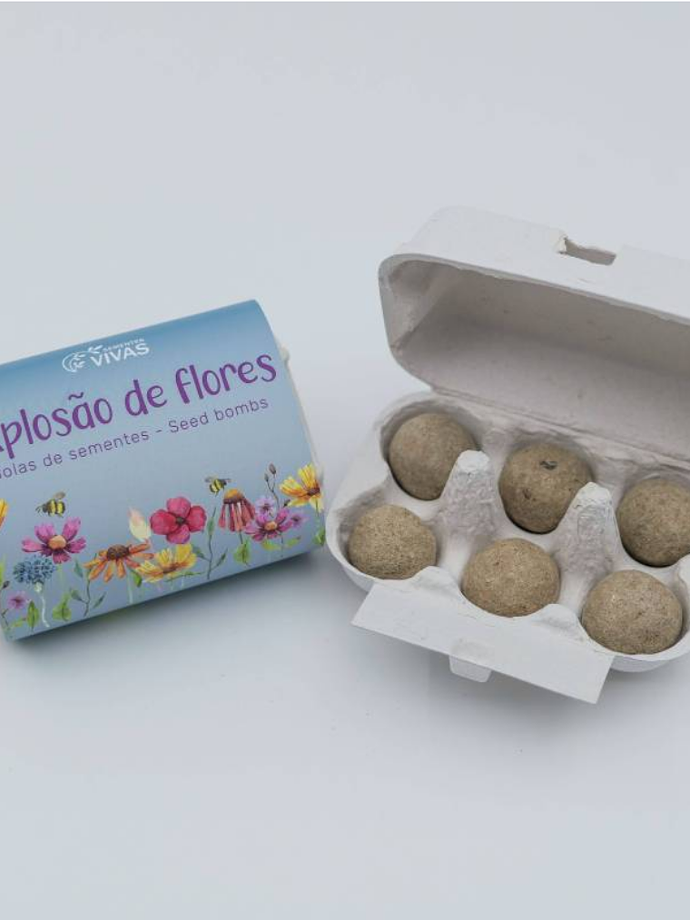 Bolas de Sementes - Explosão de Flores 2