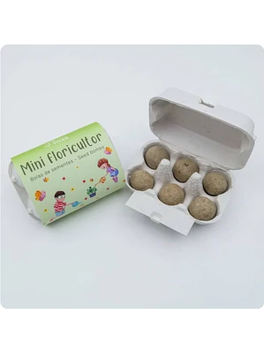 Bolas de Sementes - Mini Floricultor