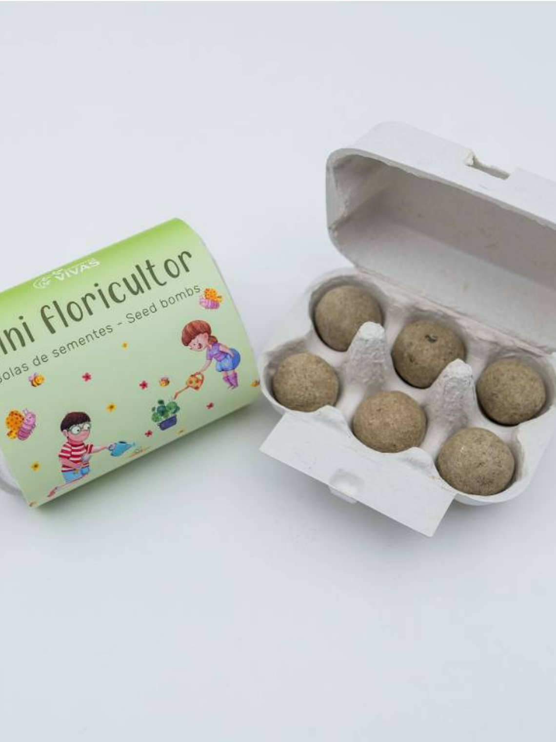 Bolas de Sementes - Mini Floricultor 2