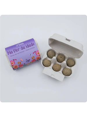 Bolas de Sementes - Na Flor da Idade