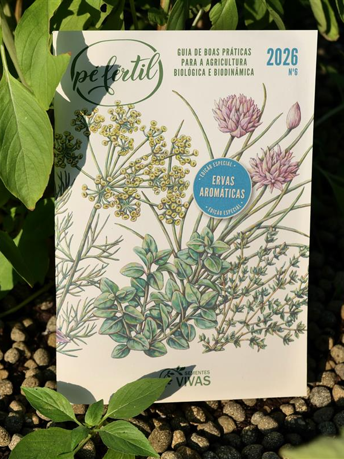 Guia de produção Pé Fertil 2026 1