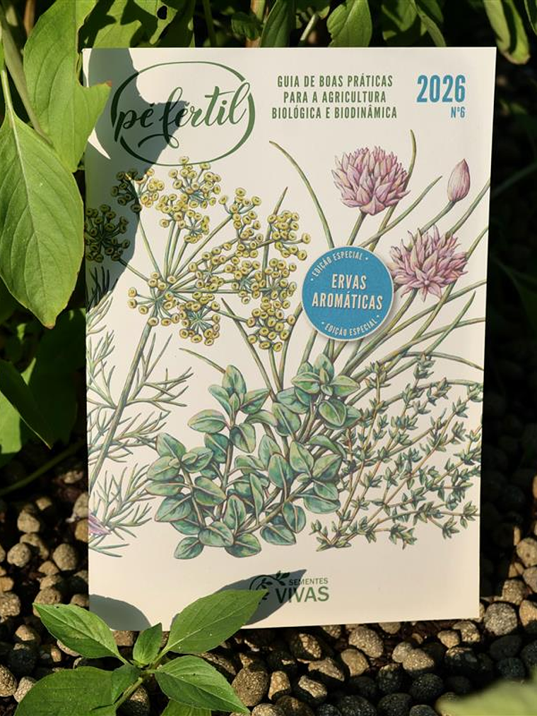 Guia de produção Pé Fertil 2026 1