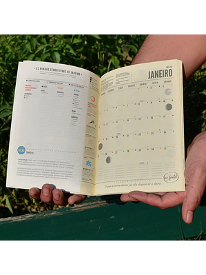 Guia de produção Pé Fertil 2026