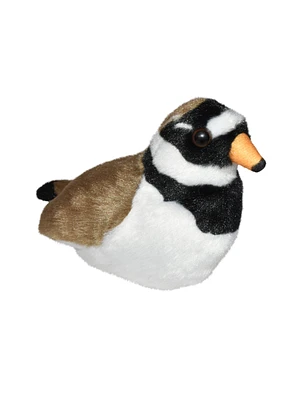 Borrelho-grande-de-coleira