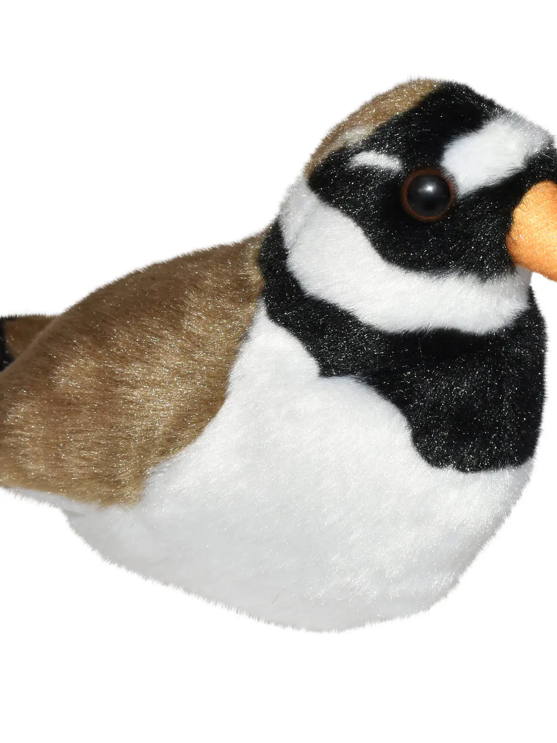 Borrelho-grande-de-coleira 1