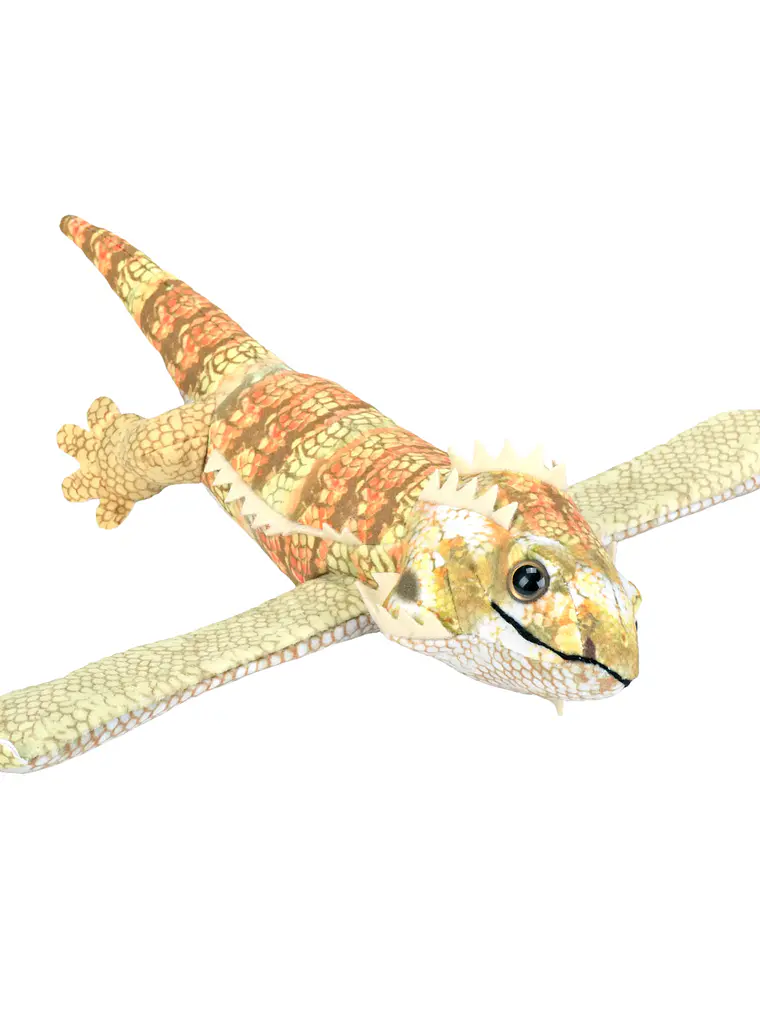 Huggers DRAGÃO-BARBUDO 1