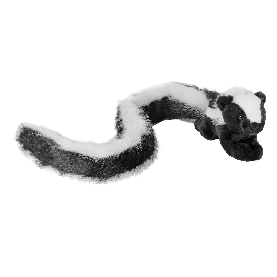 Doninha - Tailkin 1