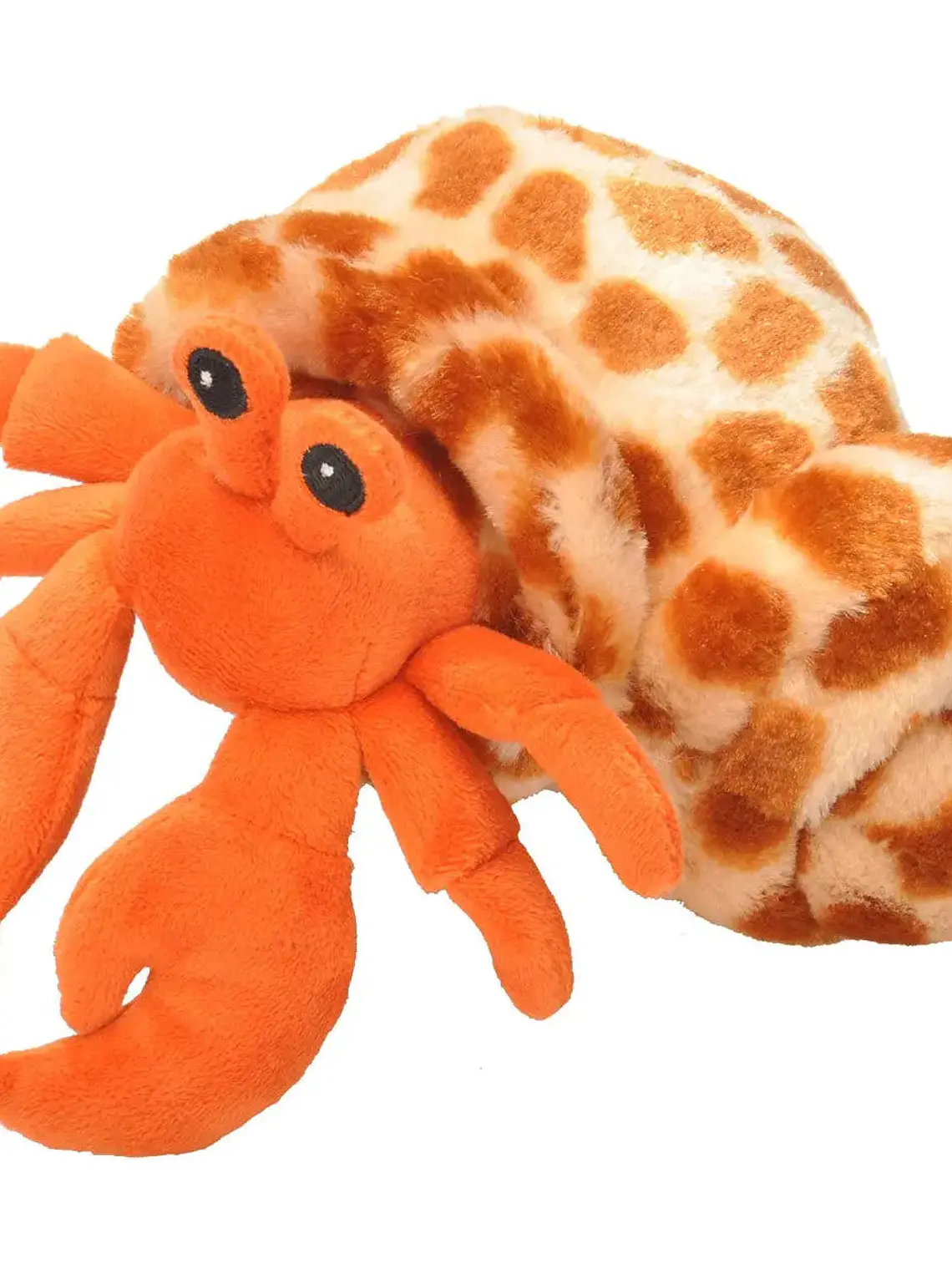 CARANGUEJO EREMITA 1