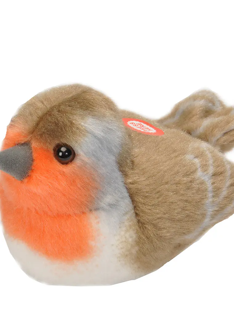 Pisco-de-peito-ruivo 1