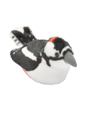 Pica-pau-malhado-grande