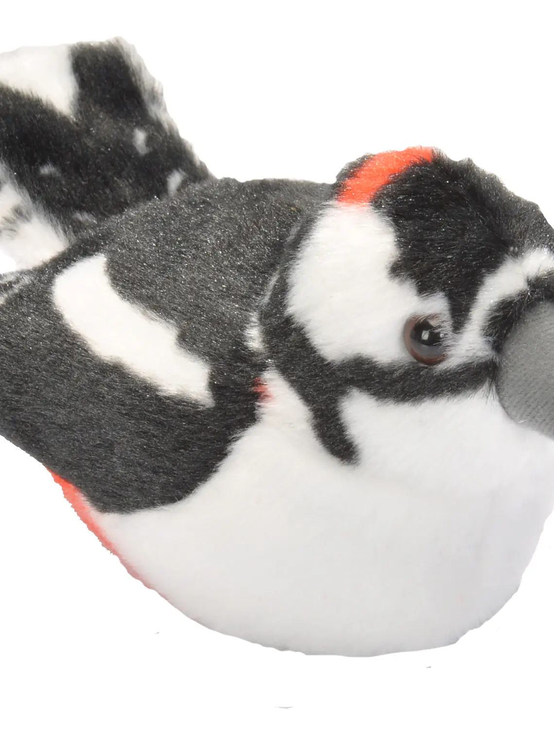 Pica-pau-malhado-grande 1