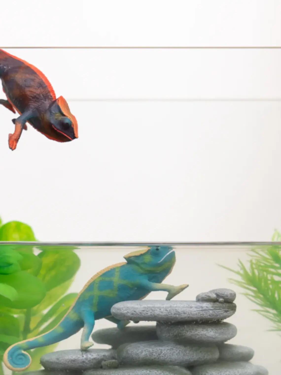 Camaleão - Muda de Cor 1