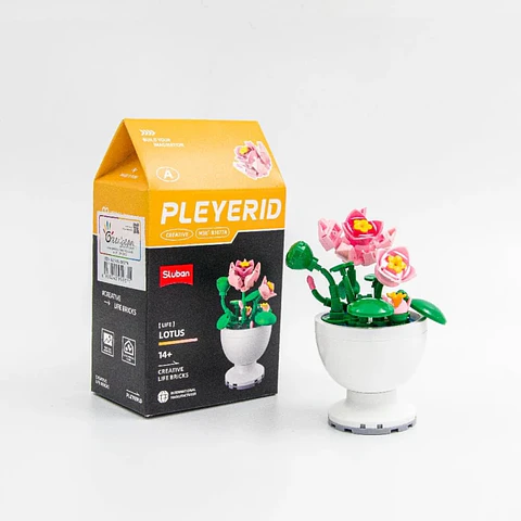 Set de Construção Lotus