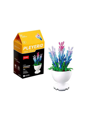Sluban Lavanda