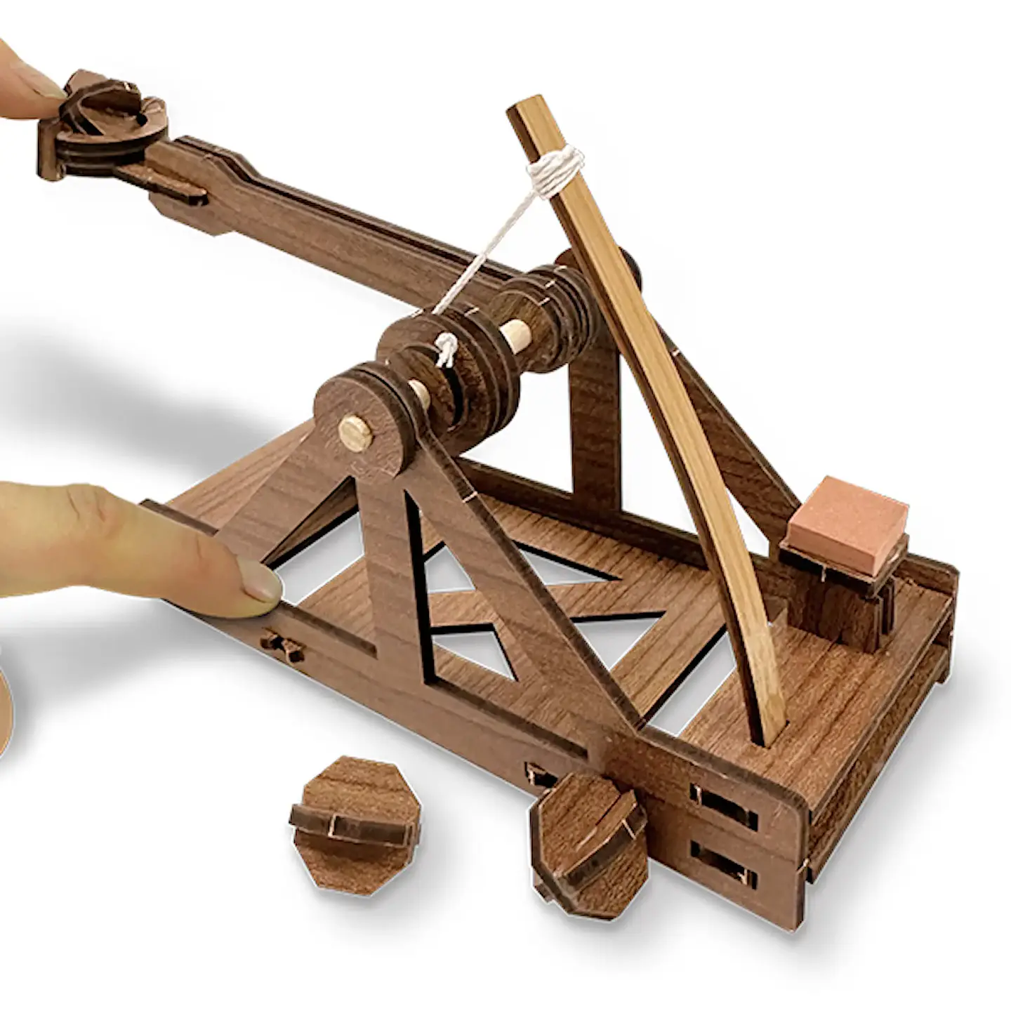 Da Vinci Catapulta 2