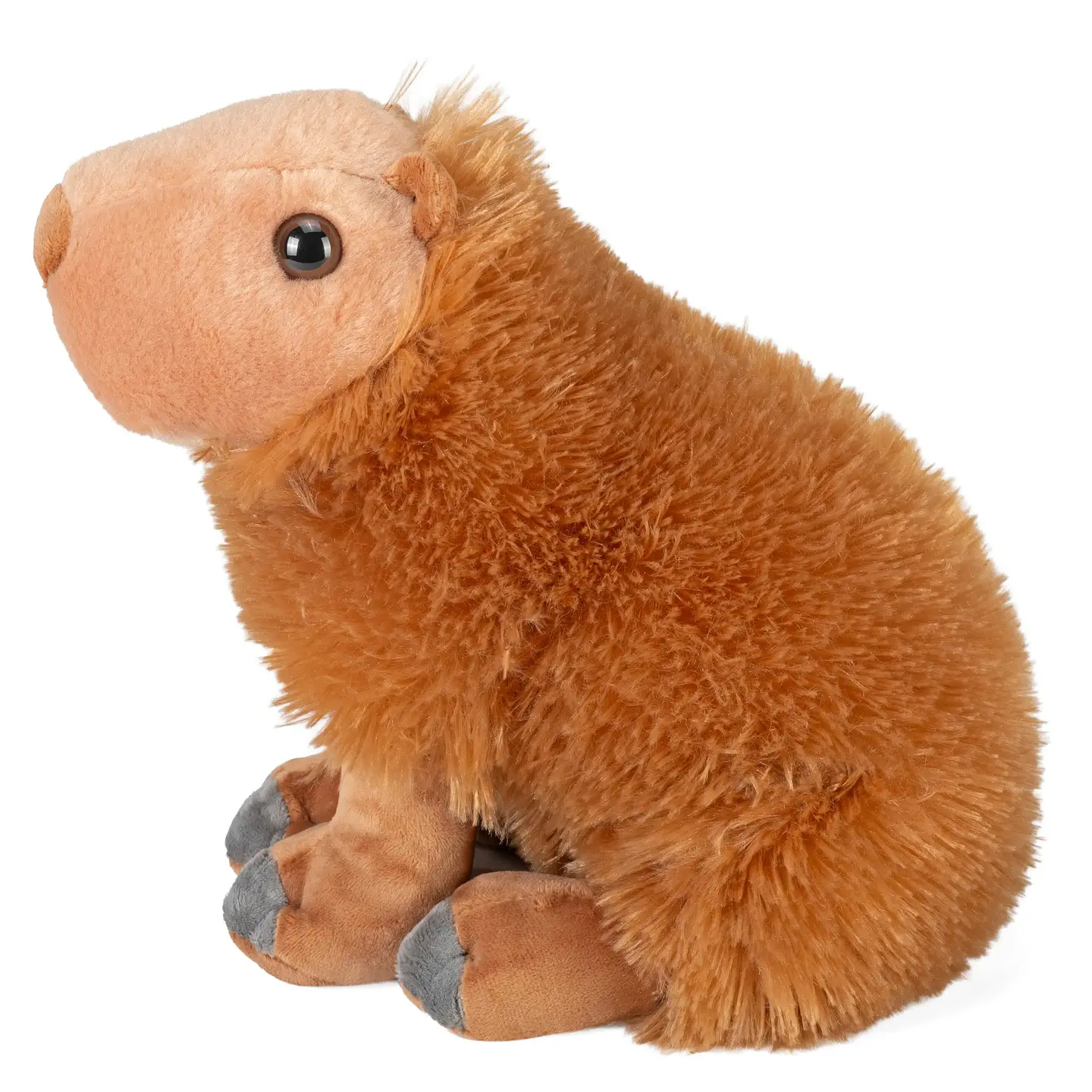 Capivara 1