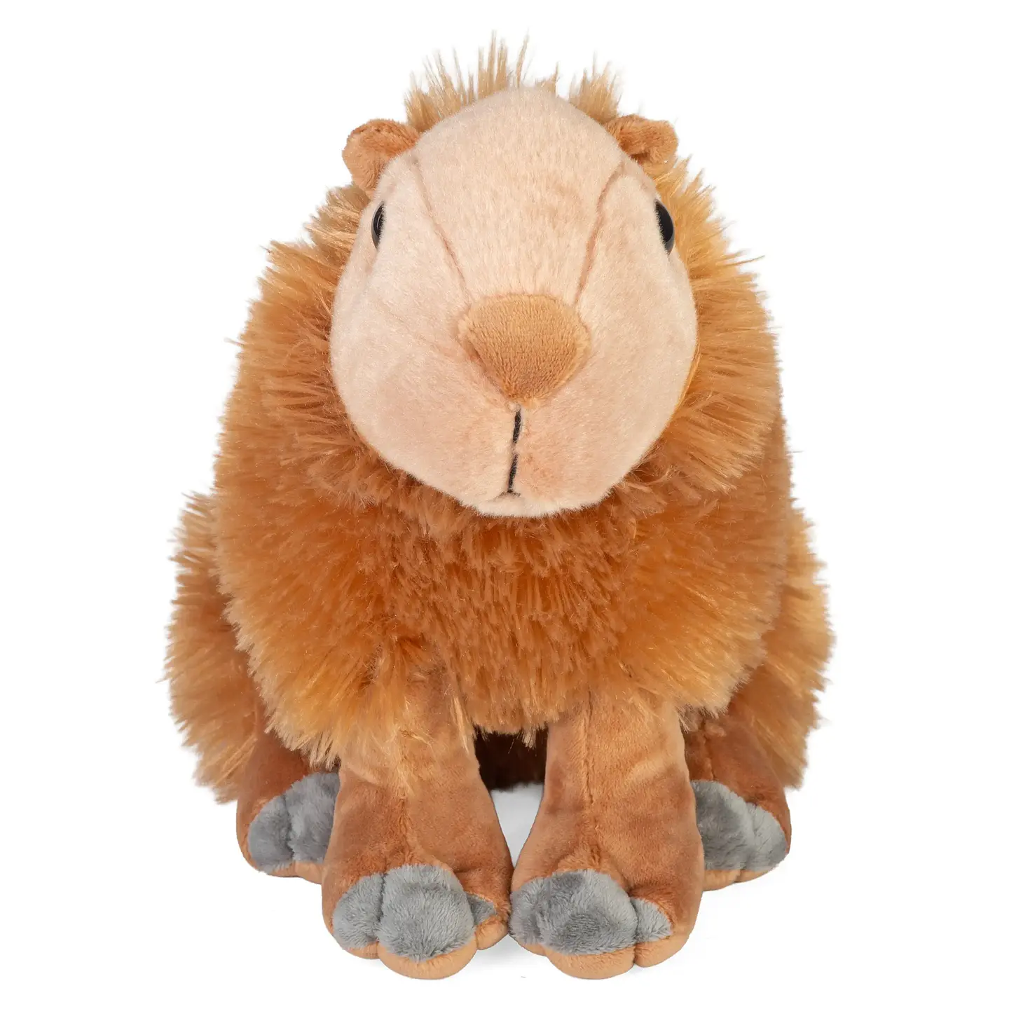 Capivara 2