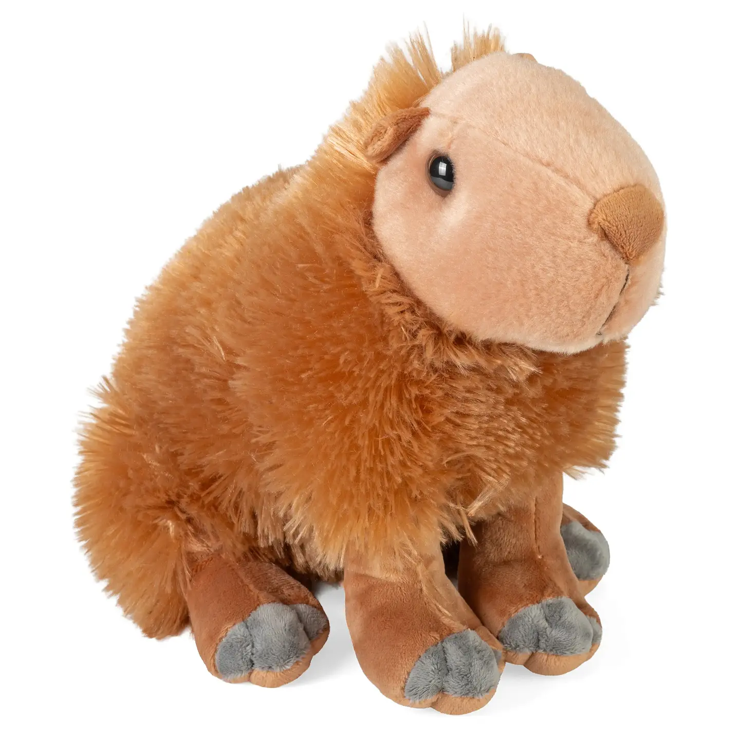 Capivara 3