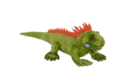 Iguana