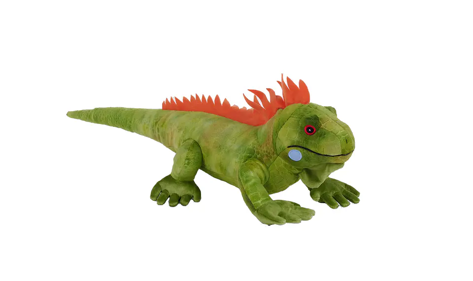 Iguana 1