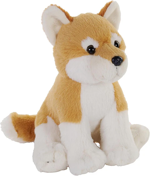 Dingo Australiano 