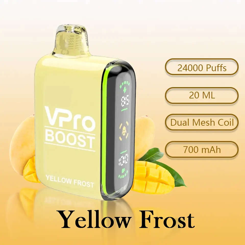 Vaporizador Desechable Vpro 24.000 Puffs 12