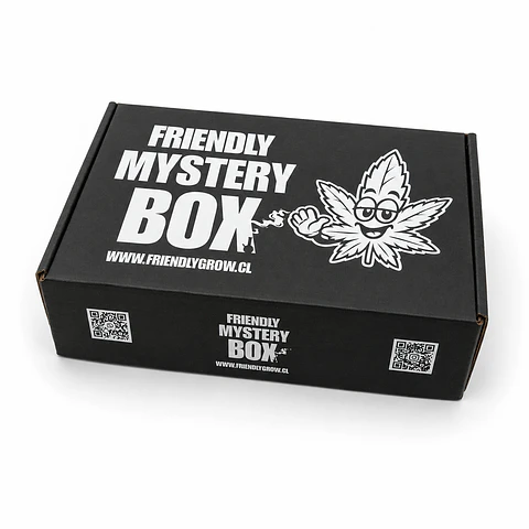 FRIENDLY MYSTERY BOX - 1° EDICION 