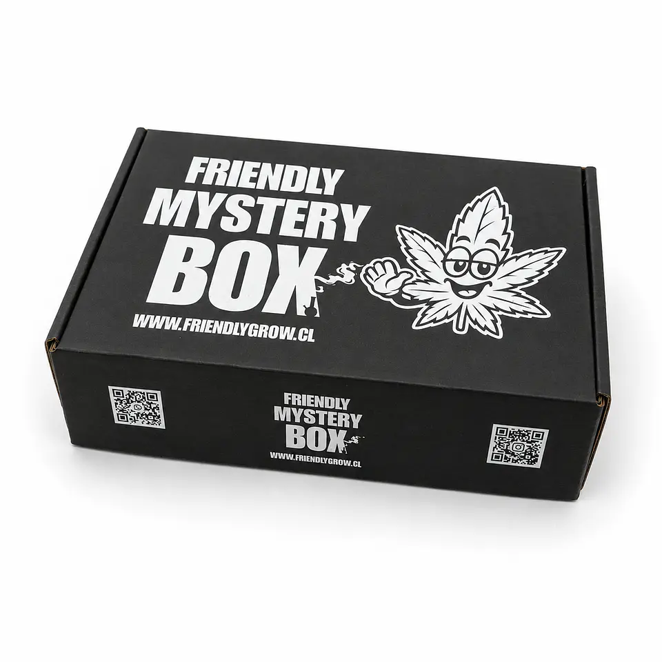 FRIENDLY MYSTERY BOX - 1° EDICION  1