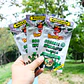 Blunts Honeypuff Organic Wraps ( Pack x5)- MAYORISTA - Miniatura 20