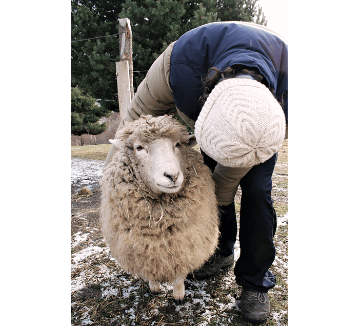 Gorro de lana 