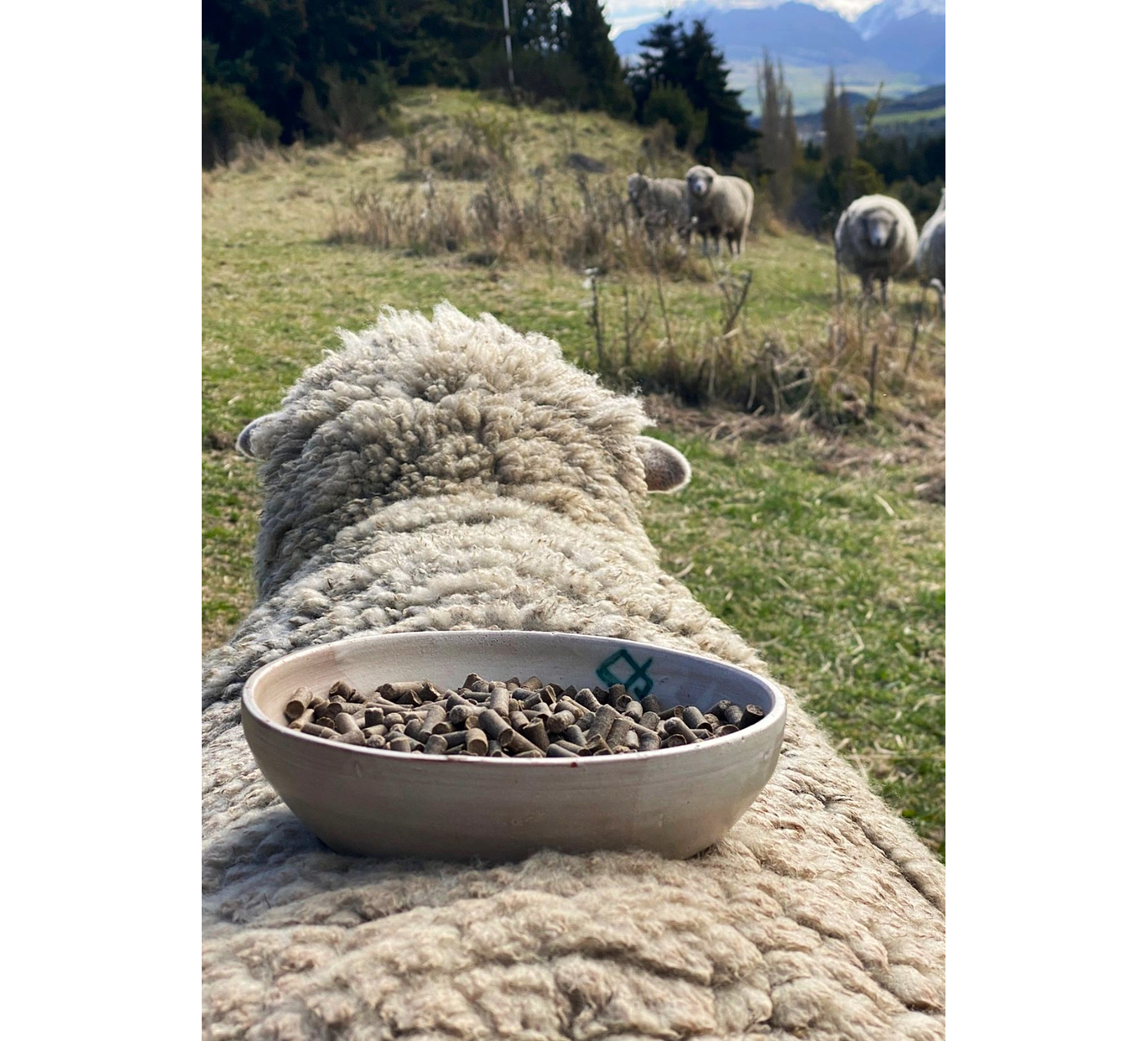BIOLANA - Pellets de lana de oveja para uso en plantas - 250grs