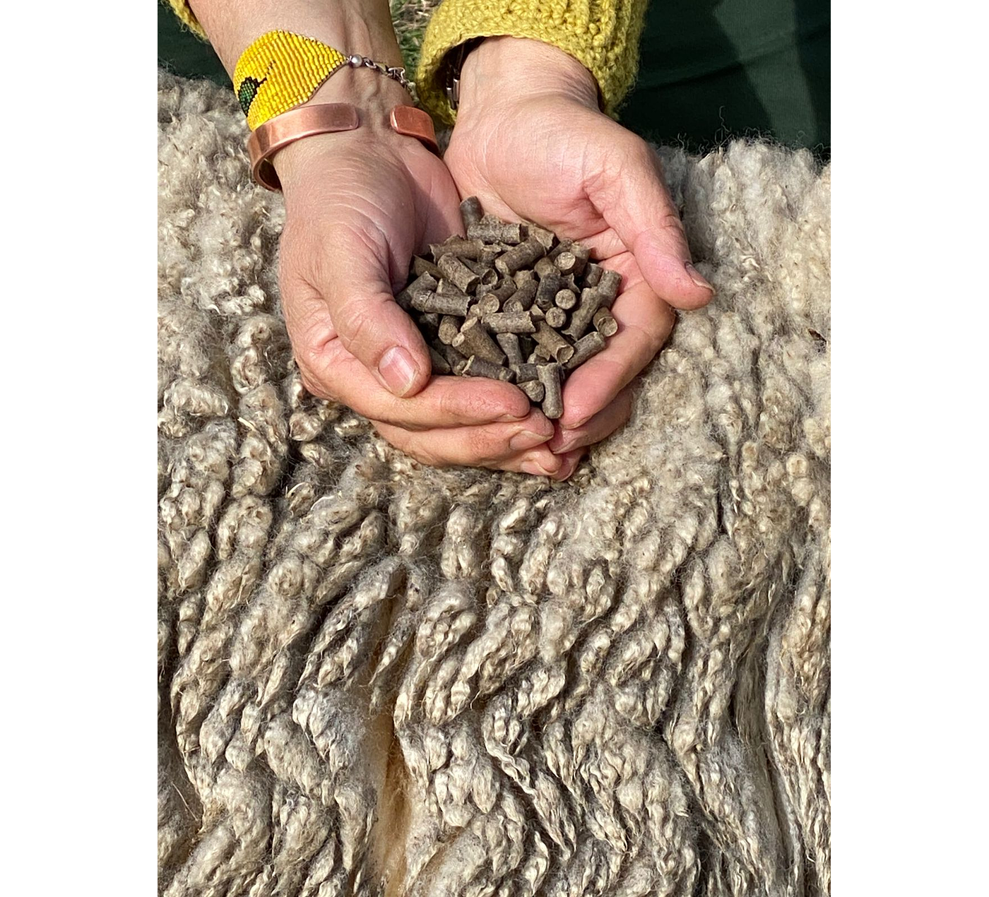 BIOLANA - Pellets de lana de oveja para uso en plantas - 1kg