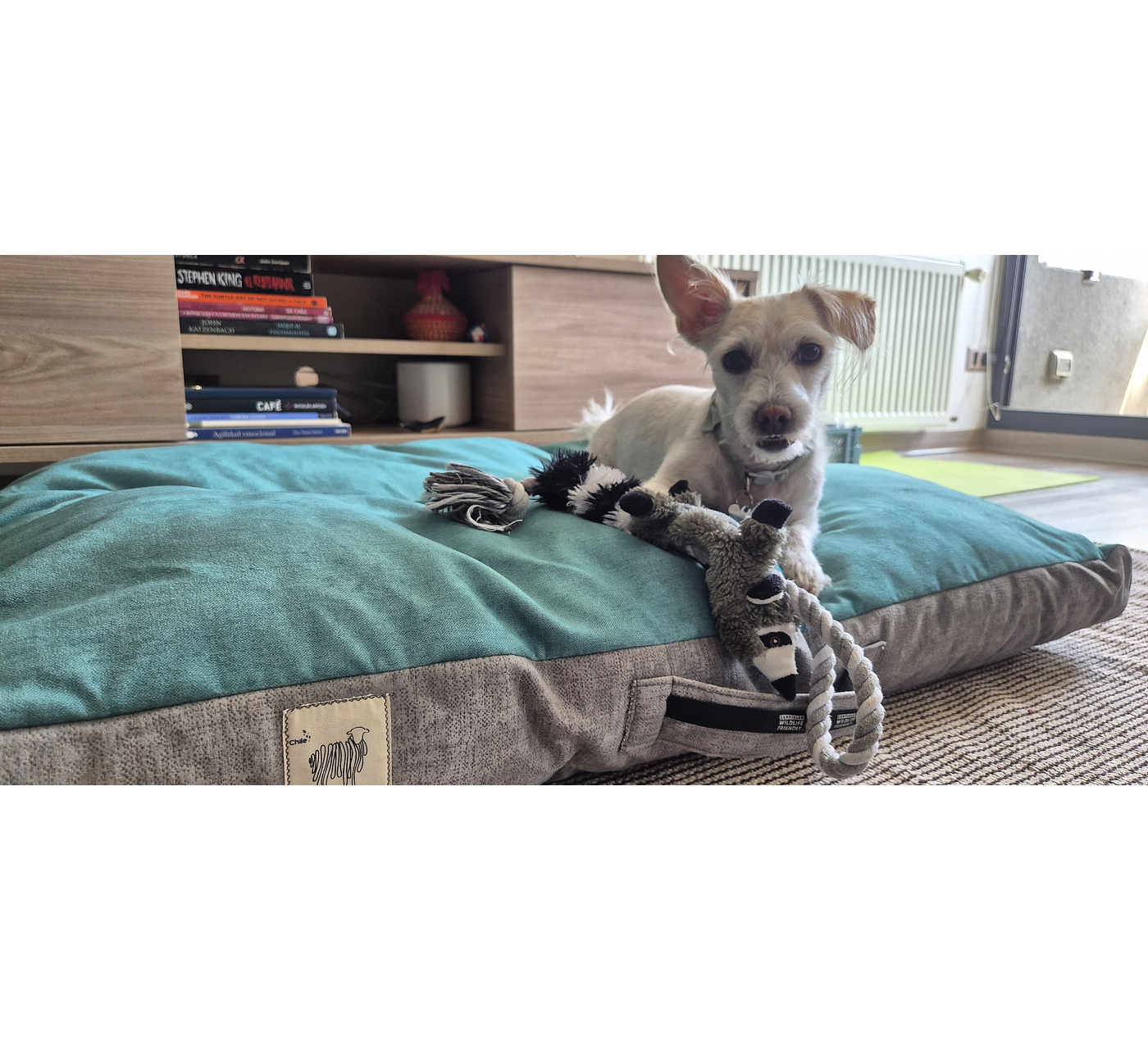 Almohadón para mascotas XL – Lana natural de oveja Corriedale - Certified Wildlife Friendly® 