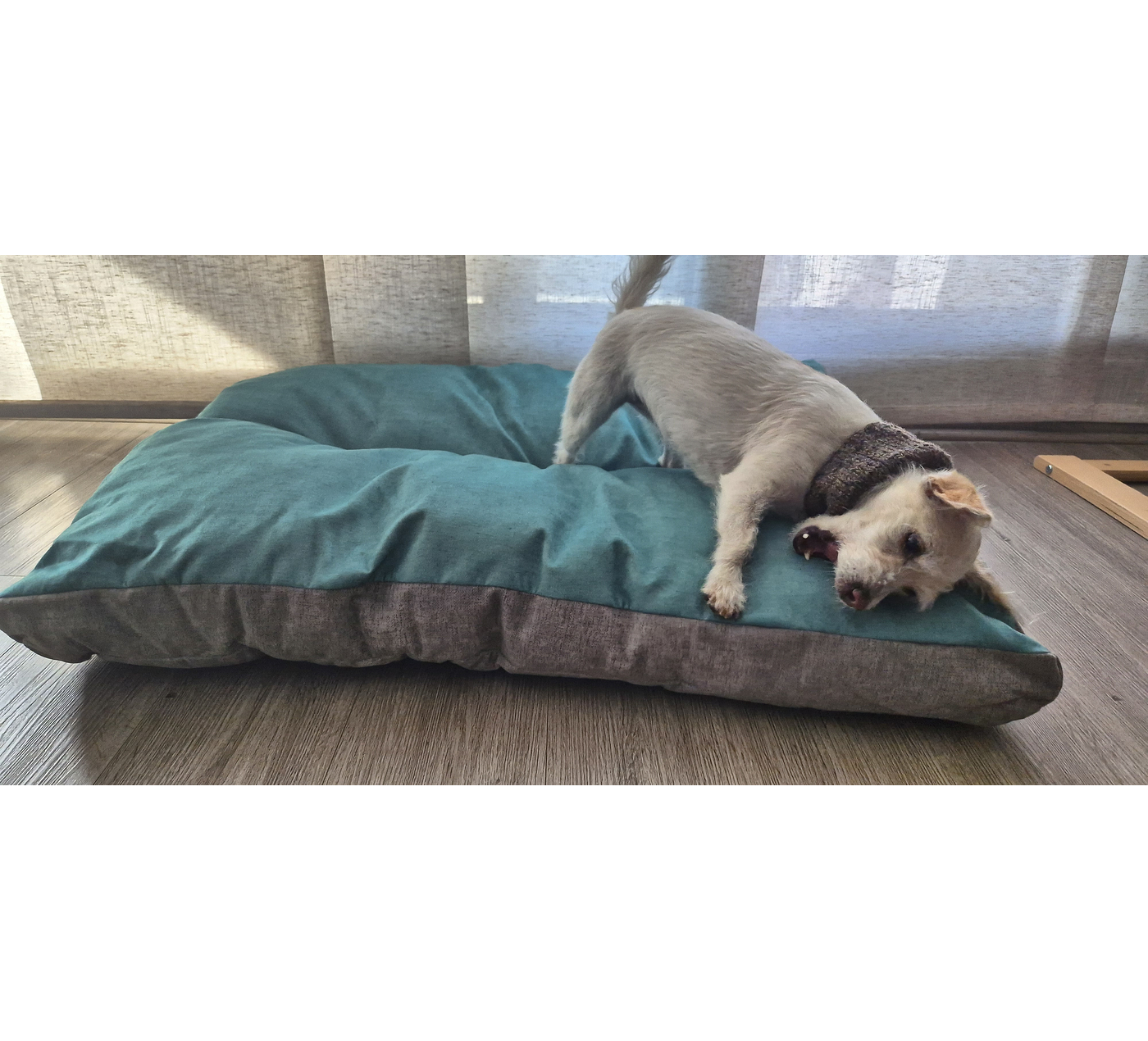 Almohadón para mascotas XL – Lana natural de oveja Corriedale - Certified Wildlife Friendly® 