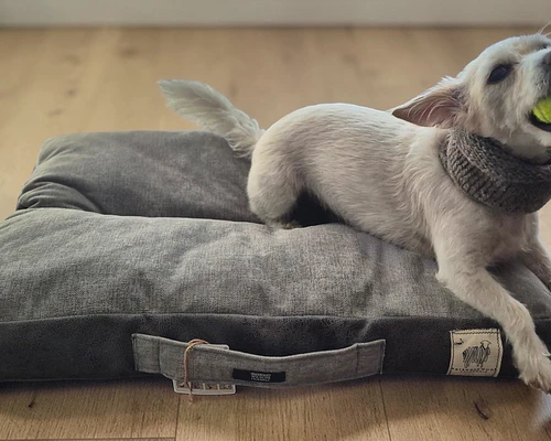 Almohadón para mascotas S – Lana natural de oveja Corriedale - Certified Wildlife Friendly®