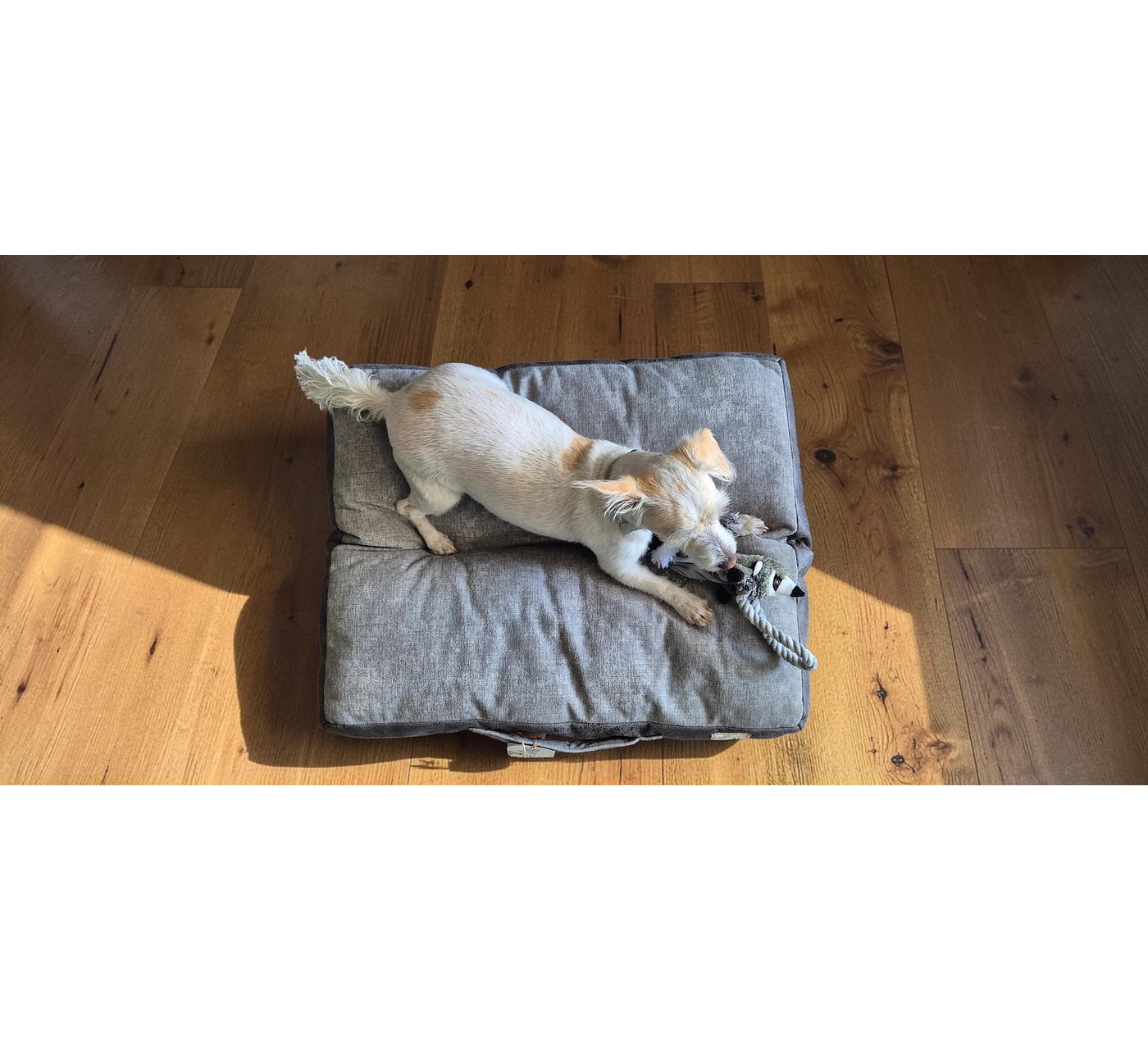 Almohadón para mascotas S – Lana natural de oveja Corriedale - Certified Wildlife Friendly®