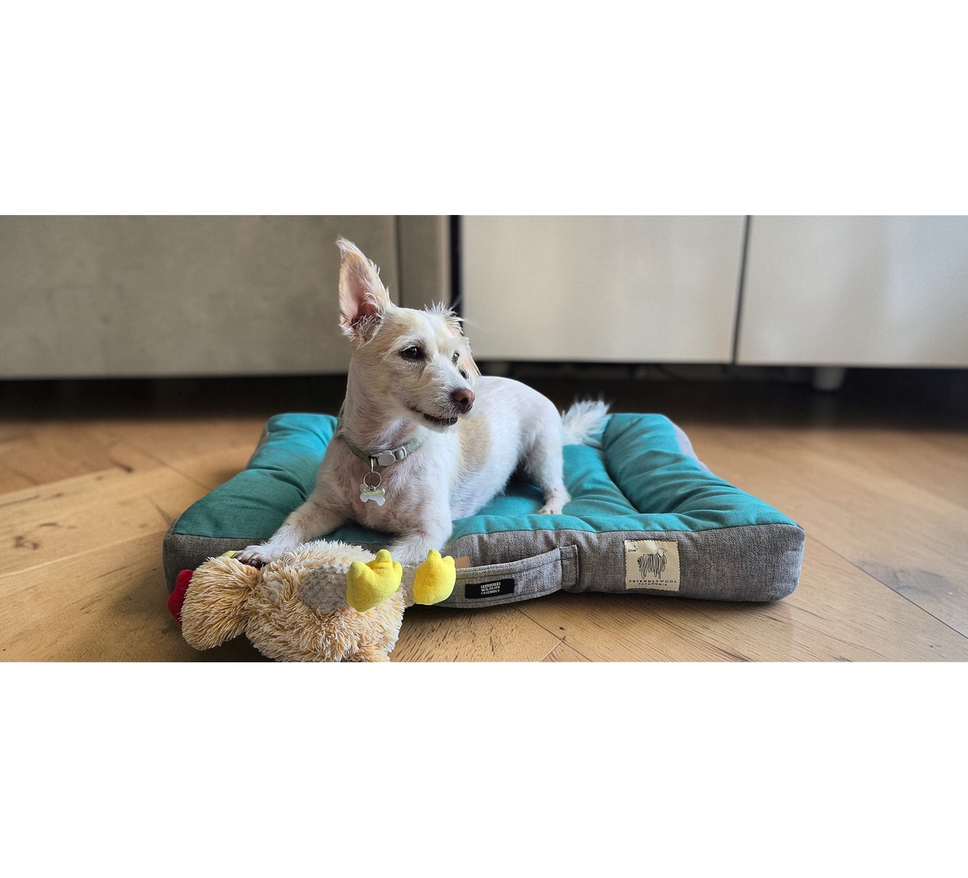 Cama rectangular para mascotas S - Verde/Gris - Lana natural de oveja Corriedale - Certified Wildlife Friendly®