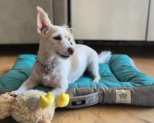 Cama rectangular para mascotas S - Verde/Gris - Lana natural de oveja Corriedale - Certified Wildlife Friendly®