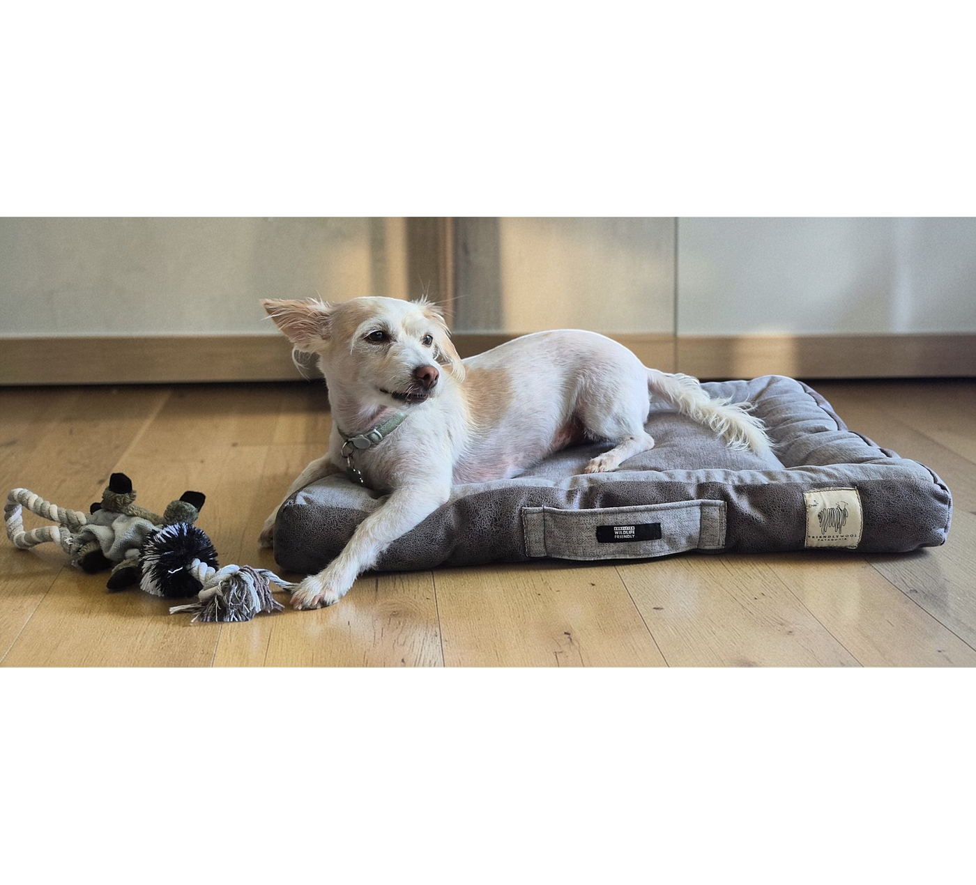 Cama rectangular para mascotas S - Gris - Lana natural de oveja Corriedale - Certified Wildlife Friendly®