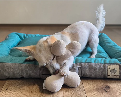 Cama rectangular para mascotas M - Verde/Gris - Lana natural de oveja Corriedale - Certified Wildlife Friendly®