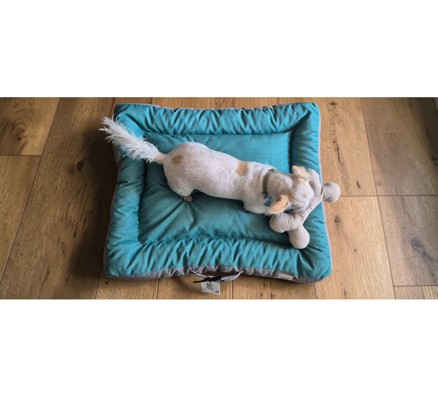 Cama rectangular para mascotas M - Verde/Gris - Lana natural de oveja Corriedale - Certified Wildlife Friendly®