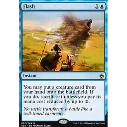Flash - Masters 25 (inglés)
