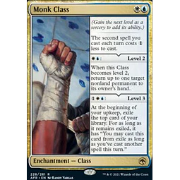Monk Class - Adventures in the Forgotten Realms (ingles)