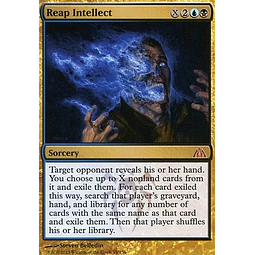 Reap Intellect - Dragon's Maze (español)