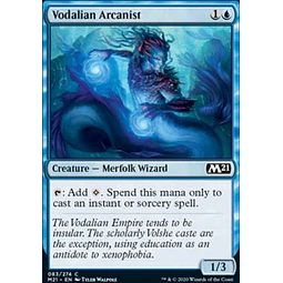 Vodalian Arcanist - PLAYSET (x4)