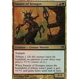 PLAYSET - Fanatic of Xenagos (x4)