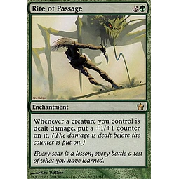 Rite of Passage - Fifth Dawn (español)