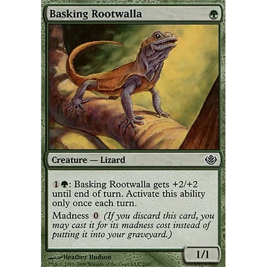 Basking Rootwalla - PLAYSET (x4)